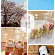 ヒメ日記 2025/04/05 23:45 投稿 のぞみ 錦糸町人妻ヒットパレード（シンデレラグループ）