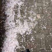 ヒメ日記 2025/04/09 12:34 投稿 のぞみ 錦糸町人妻ヒットパレード（シンデレラグループ）