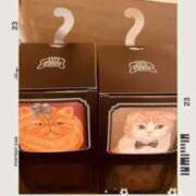 ヒメ日記 2025/04/26 23:45 投稿 のぞみ 錦糸町人妻ヒットパレード（シンデレラグループ）