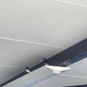 ヒメ日記 2025/05/03 12:24 投稿 のぞみ 錦糸町人妻ヒットパレード（シンデレラグループ）