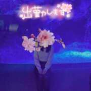 ヒメ日記 2025/05/23 07:45 投稿 のぞみ 錦糸町人妻ヒットパレード（シンデレラグループ）