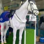 ヒメ日記 2025/07/06 12:38 投稿 のぞみ 錦糸町人妻ヒットパレード（シンデレラグループ）