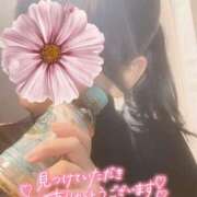 ヒメ日記 2026/02/22 10:31 投稿 のぞみ 錦糸町人妻ヒットパレード（シンデレラグループ）