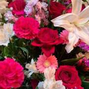 ヒメ日記 2026/02/19 00:35 投稿 月野楽々 ローテンブルク