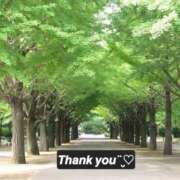 ヒメ日記 2025/03/16 14:53 投稿 ここは 奥鉄オクテツ東京店（デリヘル市場）