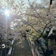 ヒメ日記 2025/04/06 16:14 投稿 ここは 奥鉄オクテツ東京店（デリヘル市場）