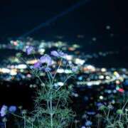 ヒメ日記 2025/06/07 10:42 投稿 ここは 奥鉄オクテツ東京店（デリヘル市場）