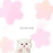 ヒメ日記 2025/03/26 23:32 投稿 七夕 すずな☆2 TiAmo（ティアモ）