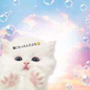 ヒメ日記 2025/07/04 23:12 投稿 七夕 すずな☆2 TiAmo（ティアモ）