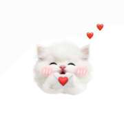 ヒメ日記 2025/07/27 23:32 投稿 七夕 すずな☆2 TiAmo（ティアモ）