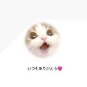 ヒメ日記 2025/10/20 10:42 投稿 七夕 すずな☆2 TiAmo（ティアモ）