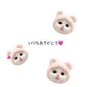 ヒメ日記 2025/11/15 20:42 投稿 七夕 すずな☆2 TiAmo（ティアモ）