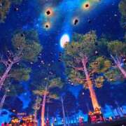 ヒメ日記 2025/02/19 09:39 投稿 りこ ぽっちゃりデリヘル倶楽部