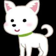 ヒメ日記 2025/05/13 18:19 投稿 あすか リニューアル