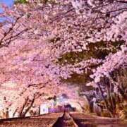 りょうか お久し振りです 奥鉄オクテツ神奈川店（デリヘル市場グループ）