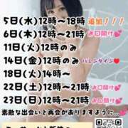 ヒメ日記 2025/02/02 18:03 投稿 神谷和花 ハールブルク