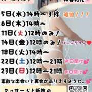 ヒメ日記 2025/02/03 13:13 投稿 神谷和花 ハールブルク