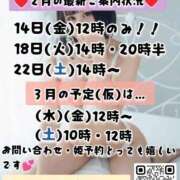 ヒメ日記 2025/02/12 13:25 投稿 神谷和花 ハールブルク