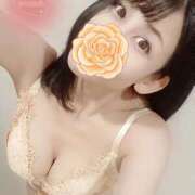 ヒメ日記 2025/02/18 10:10 投稿 神谷和花 ハールブルク