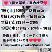 ヒメ日記 2025/02/25 17:23 投稿 神谷和花 ハールブルク