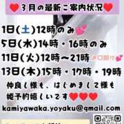 ヒメ日記 2025/02/27 16:50 投稿 神谷和花 ハールブルク
