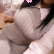 ヒメ日記 2025/03/06 10:08 投稿 神谷和花 ハールブルク