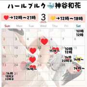 ヒメ日記 2025/03/10 09:10 投稿 神谷和花 ハールブルク