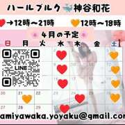 ヒメ日記 2025/03/26 09:07 投稿 神谷和花 ハールブルク