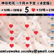 ヒメ日記 2025/04/24 23:31 投稿 神谷和花 ハールブルク