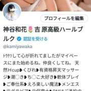 ヒメ日記 2025/05/13 10:01 投稿 神谷和花 ハールブルク