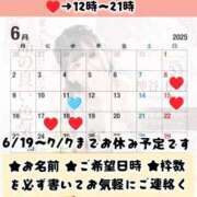 ヒメ日記 2025/05/17 21:15 投稿 神谷和花 ハールブルク