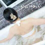 ヒメ日記 2025/06/19 12:25 投稿 神谷和花 ハールブルク