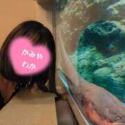 ヒメ日記 2025/07/31 11:56 投稿 神谷和花 ハールブルク