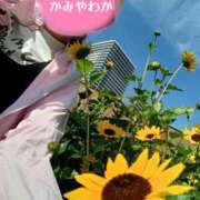 ヒメ日記 2025/08/18 16:35 投稿 神谷和花 ハールブルク