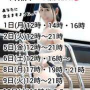 ヒメ日記 2025/09/01 10:31 投稿 神谷和花 ハールブルク