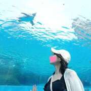 ヒメ日記 2025/09/03 15:01 投稿 神谷和花 ハールブルク