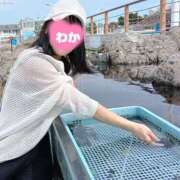 ヒメ日記 2025/09/04 00:42 投稿 神谷和花 ハールブルク