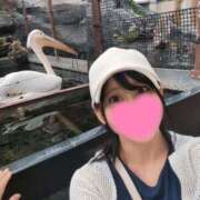 ヒメ日記 2025/09/04 15:09 投稿 神谷和花 ハールブルク