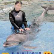 ヒメ日記 2025/09/12 17:42 投稿 神谷和花 ハールブルク