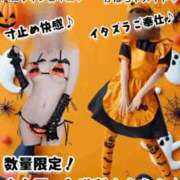 ヒメ日記 2025/09/24 17:32 投稿 神谷和花 ハールブルク