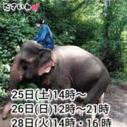 ヒメ日記 2025/10/24 09:02 投稿 神谷和花 ハールブルク