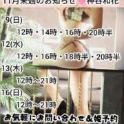 ヒメ日記 2025/11/08 21:15 投稿 神谷和花 ハールブルク