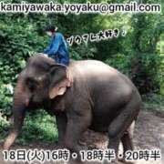 ヒメ日記 2025/11/17 23:56 投稿 神谷和花 ハールブルク