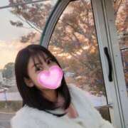 ヒメ日記 2025/11/24 17:31 投稿 神谷和花 ハールブルク