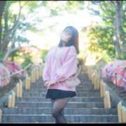 ヒメ日記 2025/11/28 10:25 投稿 神谷和花 ハールブルク