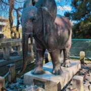 ヒメ日記 2025/12/05 20:35 投稿 神谷和花 ハールブルク