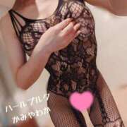 ヒメ日記 2025/12/15 22:29 投稿 神谷和花 ハールブルク