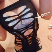 神谷和花 ありがとう20日 ハールブルク