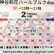 ヒメ日記 2026/01/22 15:11 投稿 神谷和花 ハールブルク