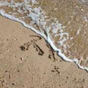 ヒメ日記 2026/01/26 15:46 投稿 神谷和花 ハールブルク